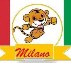 Milano Iraq Company logo